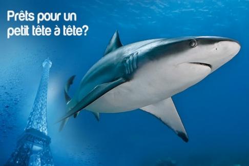 Aquarium de Paris - Cin�aqua Offers, Discounts &amp; Cheap ...
